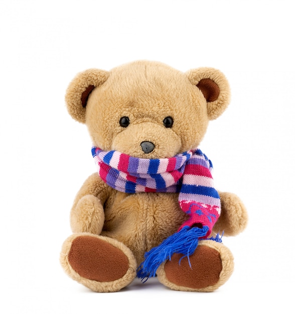 Cute brown teddy bear in a colored knitted scarf sitting on a white background