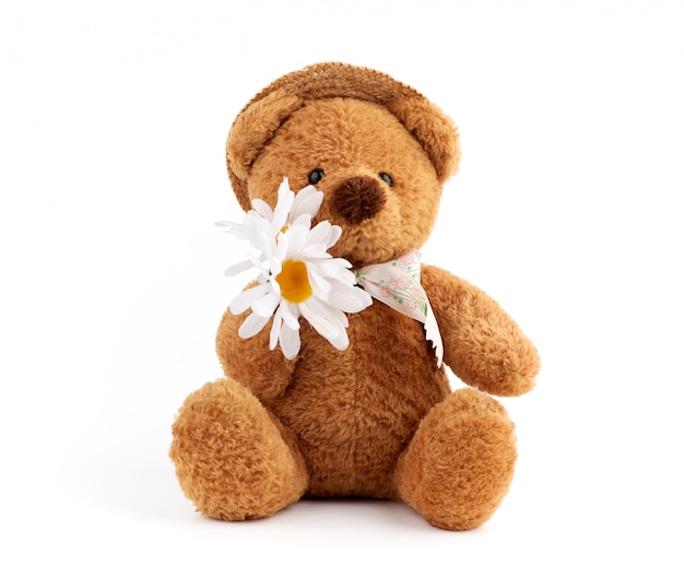 Cute brown teddy bear in a straw hat holds a white daisy