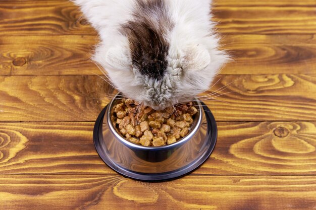 Cute cat eating his food from metal bowl on wooden floor