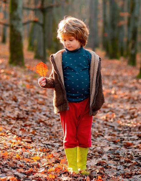 Cute child boy having fun in autumn park kid with yellow leaf