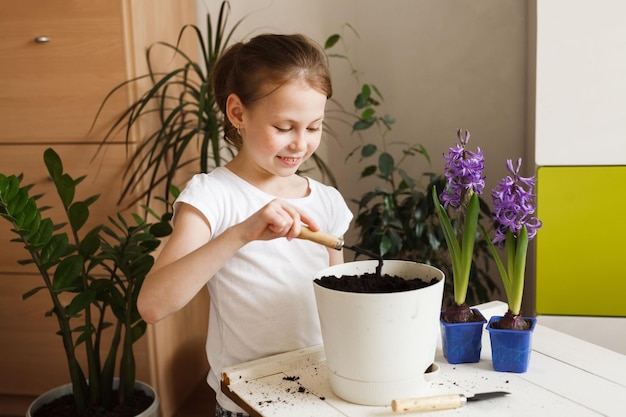 Cute child girl busy with home plant growing