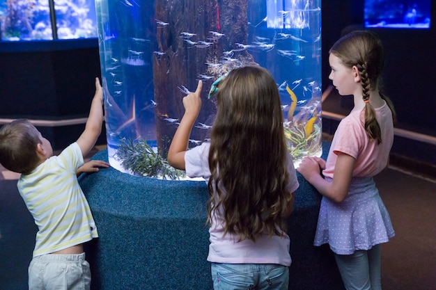 Cute children looking at fish tank