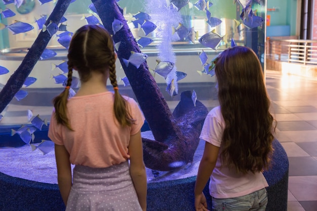 Cute children looking at fish tank