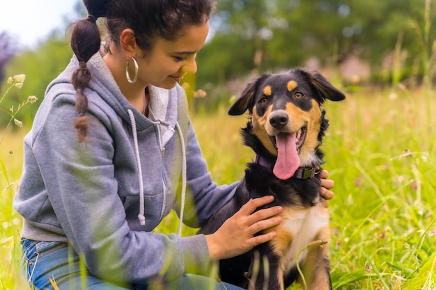 A cute dog sitting on a sunny spring day in a flower meadow with his mouth open and his tongue sticking out Border Collie Pitbull and Boxer mix puppy caressed by the owner