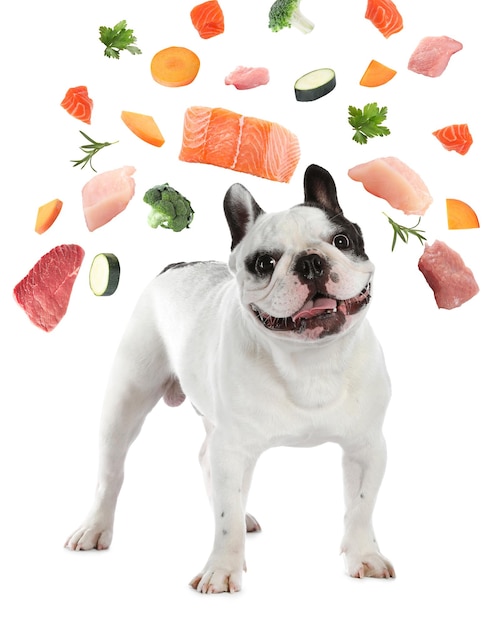 Cute dog surrounded by fresh products rich in vitamins on white background Healthy diet for pet