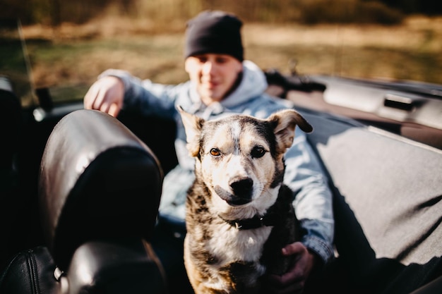 cute dog traveling in convertible car