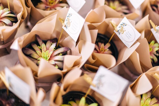 Photo cute flowerpots are beautifully packed with a clothespin and a note gifts for guests