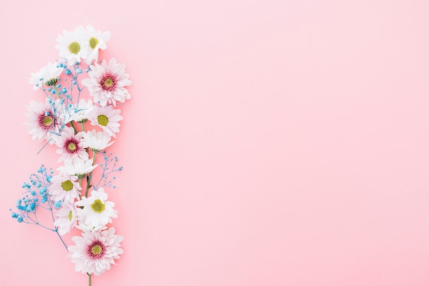 Cute flowers on pink background with space on right