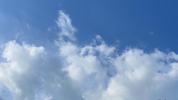 Cute fluffy clouds with fresh sky