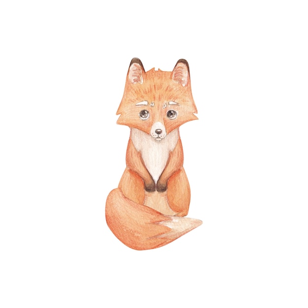 Cute fox watercolor on a white background children's illustration Card design Postcards and more