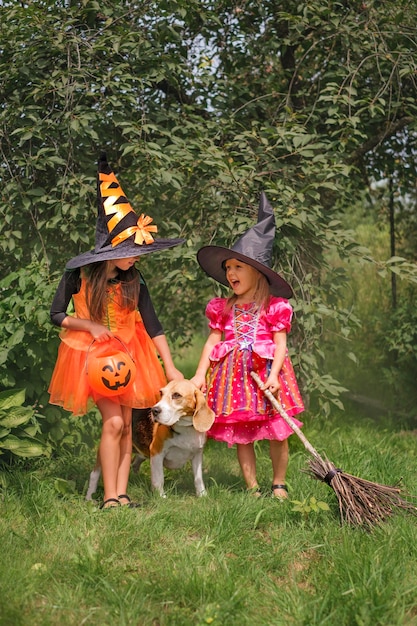 Cute funny amusing sisters in black hats and witch costumes