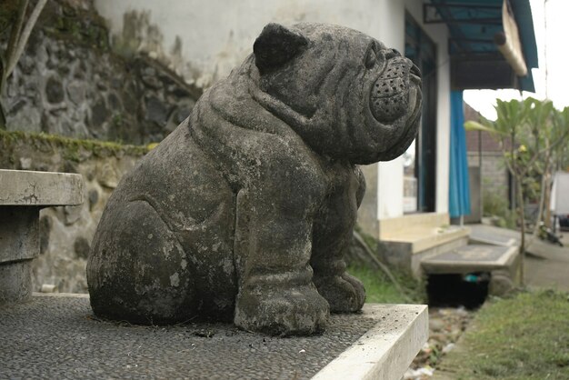 Cute and funny bulldog sculpture statue guardian dog