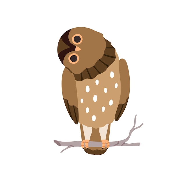 Cute funny owl with tilted leaned head. Amusing owlet sitting on tree branch, twig. Adorable night bird. Realistic birdie looking with big eyes. Flat vector illustration isolated on white background