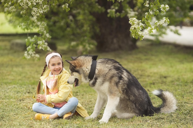 Cute girl in colorful clothes sitting on the grass and playing with her funny friend malamute dog