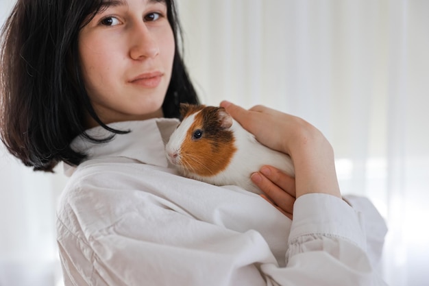 Cute guinea pig in the girl's arms, child and animal concept