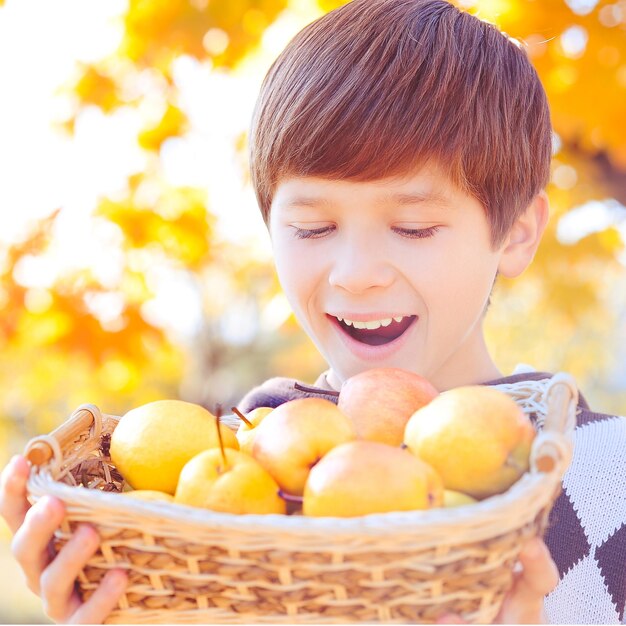 Cute happy kid boy 12-14 year old hold basket with ripe pears over yellow leaves at background