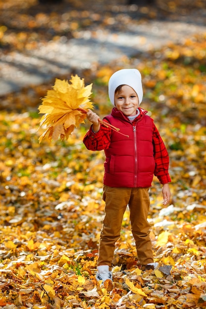 Cute, happy, white boy in red shirt smiling and playing with bouquet of yellow leaves. Little child having fun in autumn park. Concept of happy childhood, leaves fall