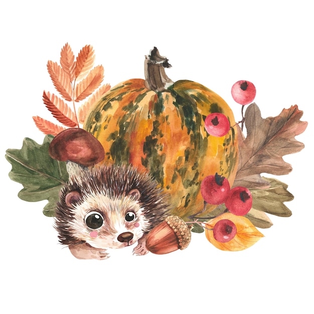 Cute hedgehog Composition of spotted yellow pumpkin oak leaves red berries and acorn