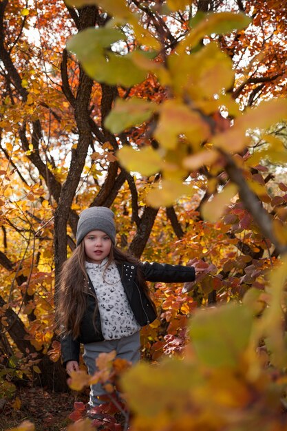 Cute kid girl 4-5 year old wearing sweater and jacket in park. Looking at camera. Autumn season. Childhood. fashionable stylish and charming little lady