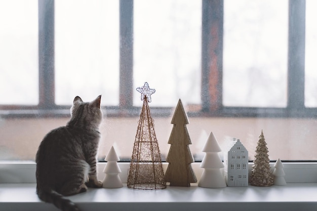 Cute kitten of the Scottish straight sitting on the windowsill near the window Cozy home with decorative Christmas trees Sweet home Winter holidays lifestyle