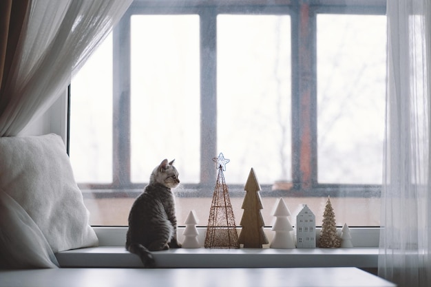 Cute kitten of the Scottish straight sitting on the windowsill near the window Cozy home with decorative Christmas trees Sweet home Winter holidays lifestyle