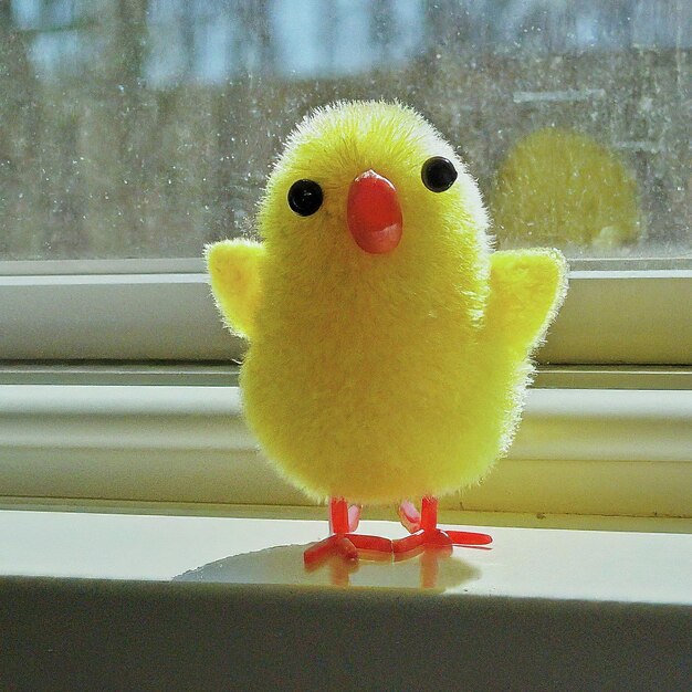 cute little baby chick with yellow color