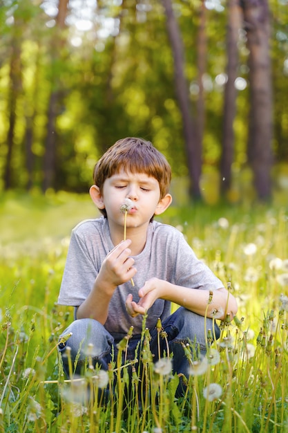 Cute little boy blowing dandelion.