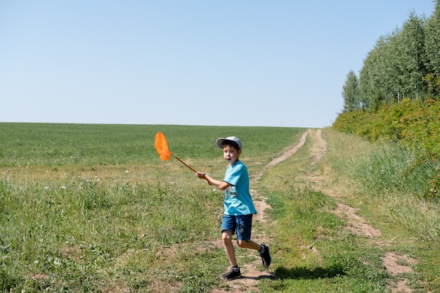 Cute little boy catches butterflies with scoop-net on sunny meadow. Young explorer of the nature. Summer activities for inquisitive child.