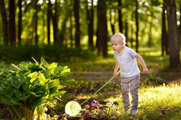 Cute little boy catches butterflies with scoop-net on sunny meadow