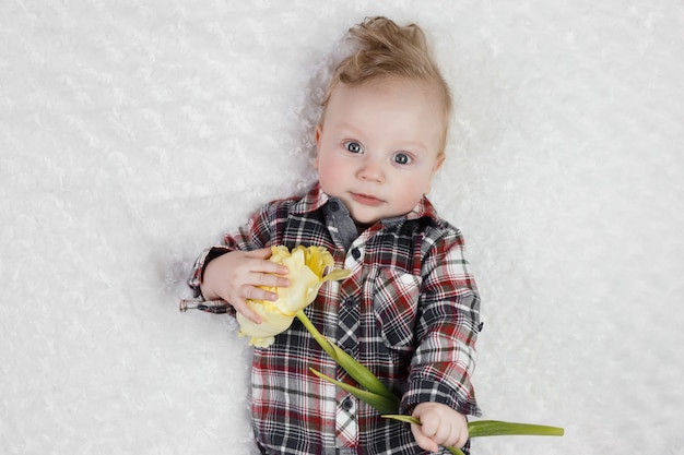 Cute little boy in a plaid shirt holds one yellow tulip