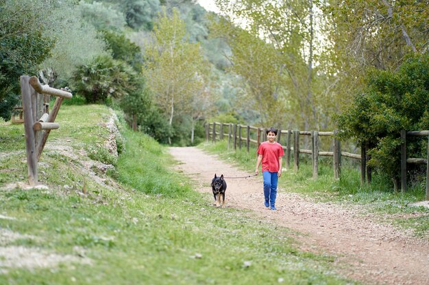 Cute little boy, walking his little pet dog in rural rapeseed field next to him, boy walking on a small path