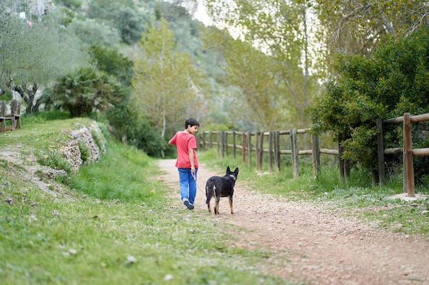 Cute little boy, walking his little pet dog in rural rapeseed field next to him, boy walking on a small path