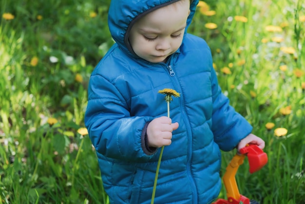 Cute little boy with dandelion in his hand