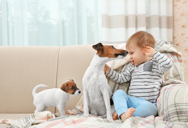 Cute little boy with dogs on sofa at home