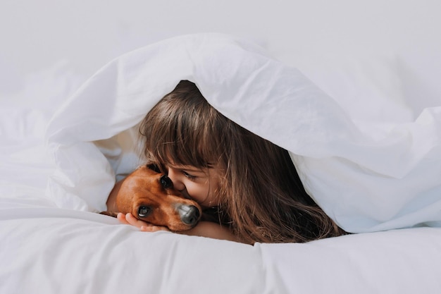 cute little brunette girl at home in bed with a brown dachshund dog cuddling and sleeping. High qual