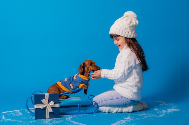 Cute little brunette girl in a white knitted hat and sweater is sledding a dachshund dog with gifts