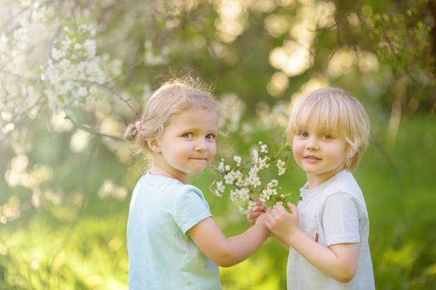 Cute little children playing together in blooming cherry garden.