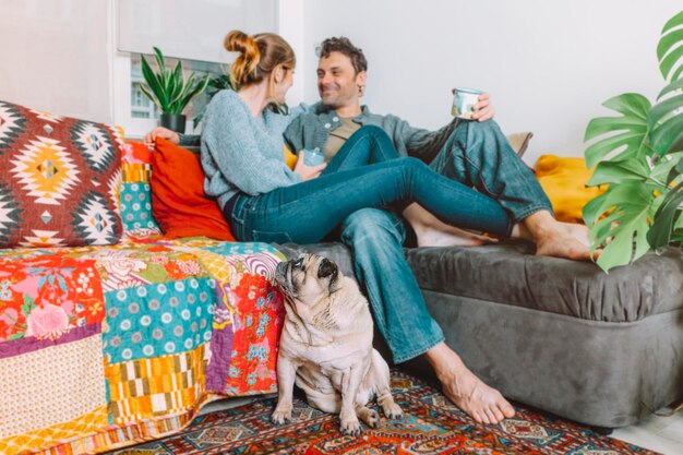 Cute little dog pug sitting on the carpet looks wistfully at his owner's which are relaxing on the sofa