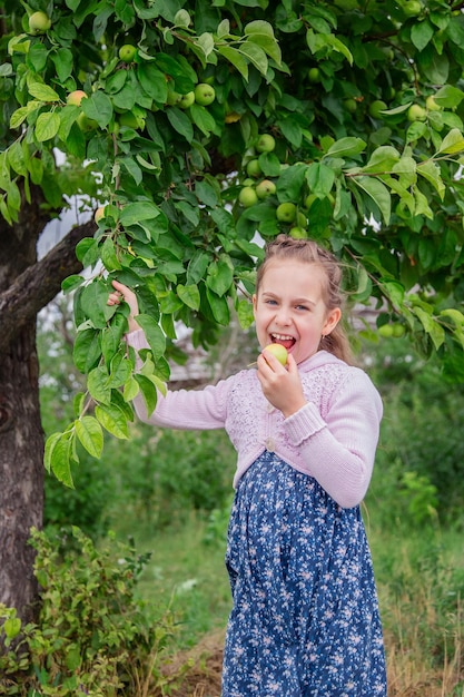 Cute little girl in the branches of an apple tree in summer sunny day