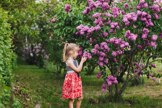 Cute little girl in dress laughing in spring park near lilac child smells lilac