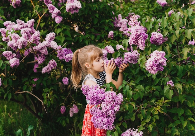 Cute little girl in dress laughing in spring park near lilac child smells lilac