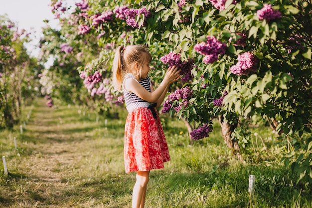 Cute little girl in dress laughing in spring park near lilac child smells lilac