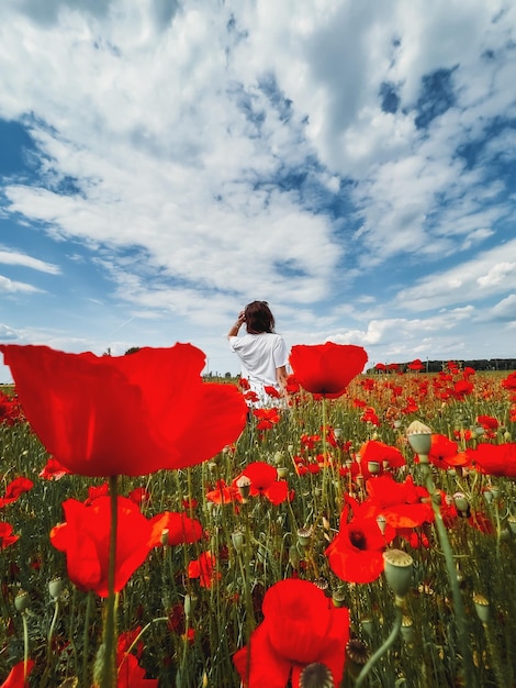 Cute little girl in hat in summer poppy blooming field walking under evening sun back view