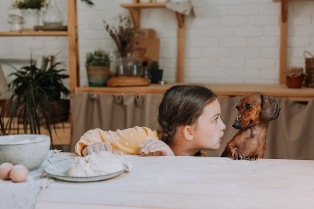 Cute little girl at home in the kitchen bakes cookies with her pet dog dachshund