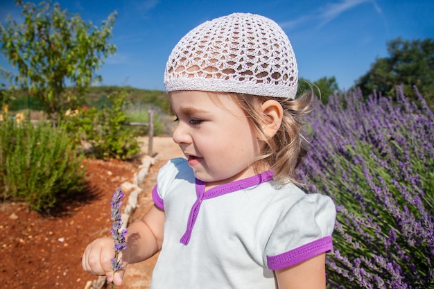 Cute little girl on a lavender field Lavender bush flowering in full against the blue sky