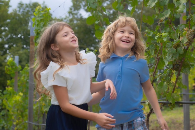 Cute little smiling laughing children playing outdoors portrait of two happy young kids at the summe