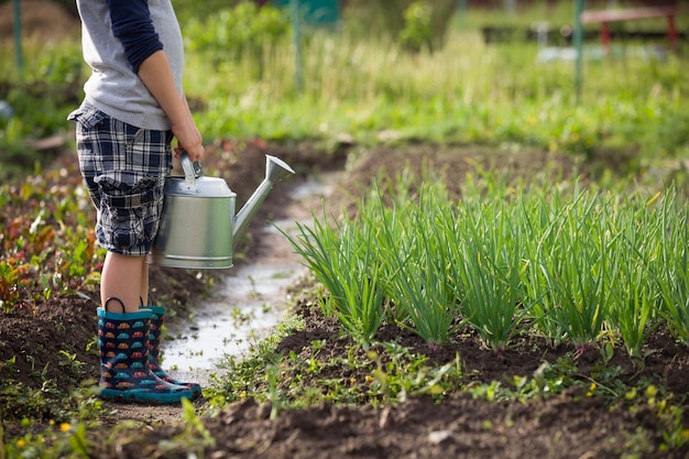 Cute little toddler boy watering plants with watering can in the garden and having fun