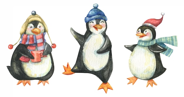 Cute penguins in hats and scarves hand drawn watercolor christmas character set.