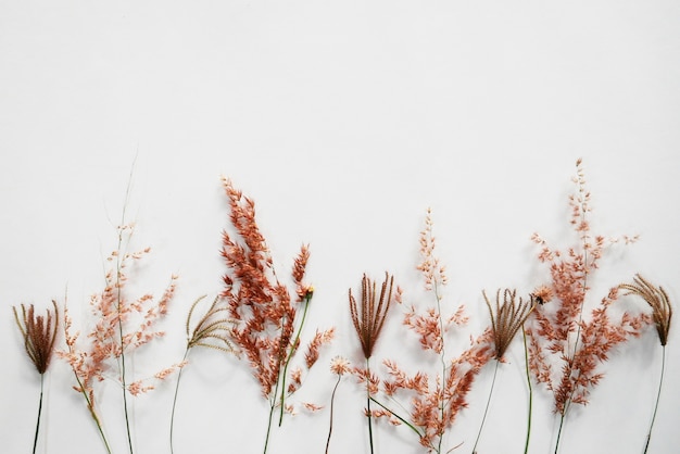 cute pink pastel grass