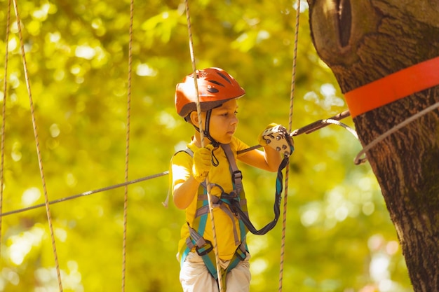 The cute preschooler are playing in the adventure park